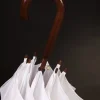 0031113-02-2