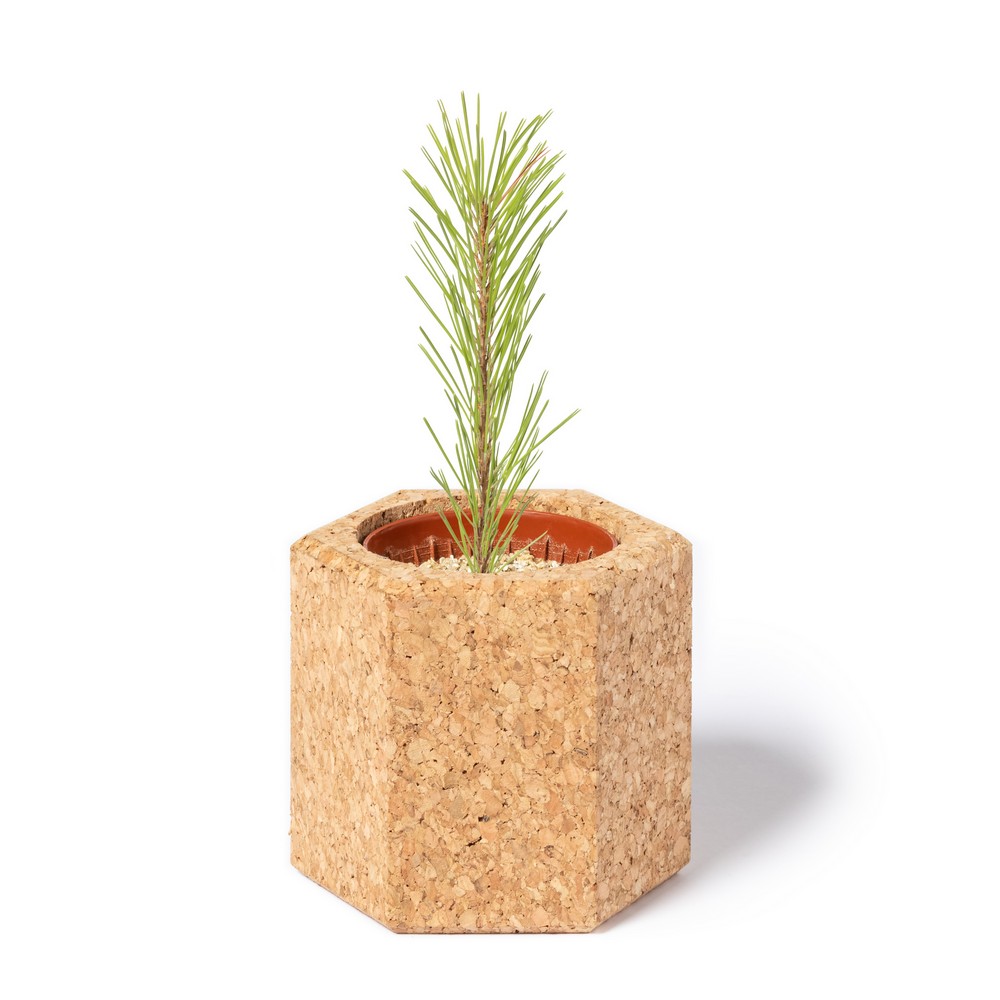 V0915-00_AAA01